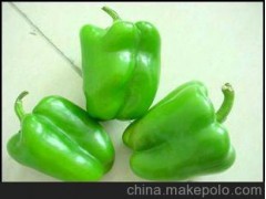 【辣椒】壽光青椒 無公害新鮮青椒