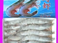 煙臺(tái)特產(chǎn) 供應(yīng)優(yōu)質(zhì)10頭大對(duì)蝦/海捕蝦