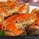 陽澄湖大閘蟹 批發(fā)直銷專賣 公蟹4.2-4.4兩（饋贈佳品）