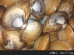 鮮活貝，品種齊、價格優(yōu)