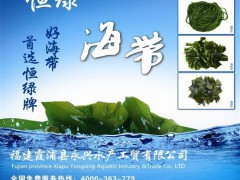 福建霞浦海帶 鹽漬海帶結(jié) 泡發(fā)率高A B 結(jié)出口標(biāo)準(zhǔn)藻類(lèi)海帶加工