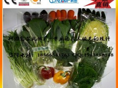 葉菜保鮮包裝機(jī)* 蔬菜基地自動(dòng)化設(shè)備