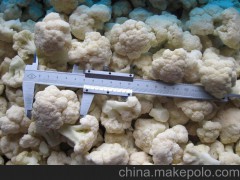 供應(yīng)速凍綠花菜/白花菜，規(guī)格全，種類多，速凍蔬菜。