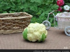 花菜 仿真水果 仿真蔬菜 假水果蔬菜義烏廠家直銷仿真水果批發(fā)