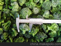優(yōu)質(zhì)速凍綠花菜，及冷凍蔬菜，質(zhì)優(yōu)價(jià)廉。