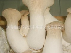 菌類蔬菜 箱裝蔬菜 禮品蔬菜 精品套菜 無(wú)公害蔬菜 有機(jī)蔬菜
