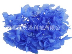 Preserved Flower 永生花 大葉繡球 出口品質 廠家直銷 保鮮花