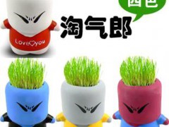 淘氣郎草娃娃盆栽/迷你植物陶瓷盆景盆栽/辦公室綠植 地?cái)偀徜N
