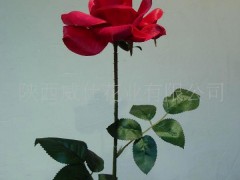 單枝玫瑰 供應(yīng)仿真鮮花玫瑰，人造假玫瑰花，鮮玫瑰花批發(fā)