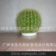 仿真樹，仿真仙人掌，仿真仙人球，仿真綠植