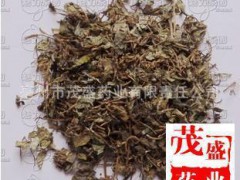 安國中藥材中草藥中藥植物原藥材批發(fā)小葉金錢草