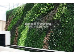 供應(yīng)武漢植物墻  武漢仿真植物墻  綠植墻  武漢創(chuàng)天下藝術(shù)景觀