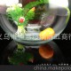 廠家直供水培花卉透明玻璃花瓶水生植物花瓶 35元球水培花瓶魚缸