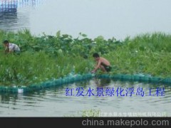 生態(tài)浮島 生態(tài)浮島水質(zhì)凈化效果 生態(tài)浮島種植水生植物