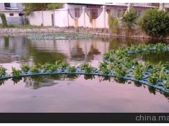 水生植物浮床 凈化水質(zhì)浮床 污水處理工程浮床優(yōu)選床