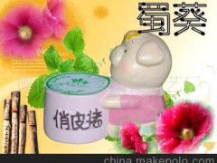 廠家直銷 花卉盆景 辦公室盆景 盆栽植物 新奇特禮品 俏皮豬