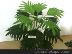 B66-18彎爪扇葉 個性時尚綠色仿真植物 仿真盆景盆栽