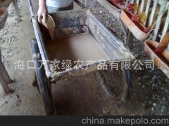 供應(yīng)正宗文昌雞嫩雞