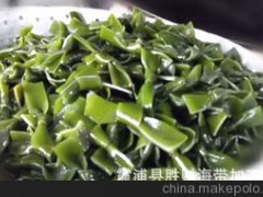 勝財(cái)海帶加工廠供應(yīng) 新鮮水產(chǎn)品 藻類 海帶結(jié)