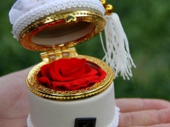 陶瓷盒保鮮花、七夕情人節(jié)創(chuàng)意禮物、盛開5年不凋玫瑰、真空鮮花