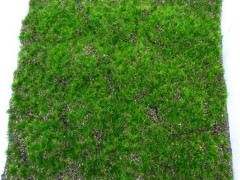 植毛草坪 植物墻 綠色植被 苔蘚 工程裝飾材料