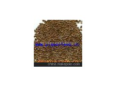 供亞麻籽 進口亞麻籽 亞麻子 糧油 營養(yǎng)食品 功能性食品linseed