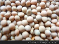 A 定西誠盛糧油貿(mào)易 供應(yīng)精品推薦優(yōu)質(zhì)產(chǎn)品 白野豌豆