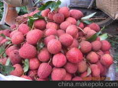 坪山送菜單位 農(nóng)產(chǎn)品配送中心 膳食承包單位