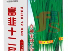 富韭十二桶裝500g熱銷10kg包郵綠色蔬菜種子高產(chǎn)營養(yǎng)高檔韭菜種子