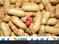 上海自貿(mào)區(qū)專(zhuān)業(yè)報(bào)關(guān)代理進(jìn)口農(nóng)副產(chǎn)品