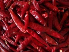 廠家直銷農(nóng)副產(chǎn)品調(diào)味香料 優(yōu)質(zhì)無雜質(zhì)青麻原料批發(fā) 特價(jià)