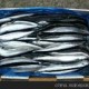 供應秋刀魚冷鮮秋刀魚進口批發(fā)
