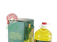 糧油批發(fā) 批發(fā)原生態(tài)駿福山茶油，巴馬山茶油 5L，巴馬特產(chǎn)