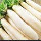 蔬菜、水果、水產(chǎn)、肉禽、糧油、南北干貨調(diào)味品