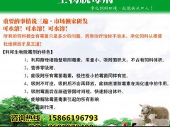 獸藥乳酸諾氟原料 養(yǎng)殖好獸藥
