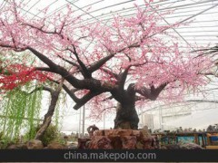 提供各種類型園林景觀設(shè)計 設(shè)計新穎