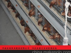 供應四層層疊式蛋雞籠集蛋機 金鳳 24年專注家禽養(yǎng)殖設備行業(yè)
