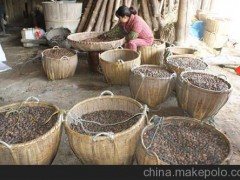 廠家批發(fā) 純天然 健康 食用油 山茶油  修水特產(chǎn)