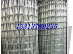 專業(yè)出售 包塑荷蘭網(wǎng) 養(yǎng)殖圍欄網(wǎng) 種植圍欄網(wǎng) 市政格欄柵