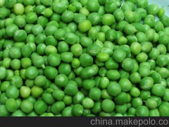 萬全農(nóng)業(yè) 農(nóng)產(chǎn)品 糧油作物 天然蔬菜 價廉物美 精選豌豆