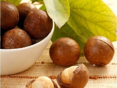 新貨最低批發(fā)價(jià) 澳洲堅(jiān)果 干果堅(jiān)果皇后 夏威夷果 奶油味 開口
