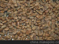 北京東北野生紅松子專賣  堅果特產(chǎn)東北紅松子招商加盟
