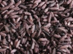供應優(yōu)質(zhì)出口級墨江紫米-1噸起批