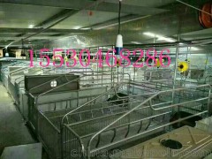全自動(dòng)化養(yǎng)豬設(shè)備飼料機(jī)母豬產(chǎn)床自動(dòng)化料線