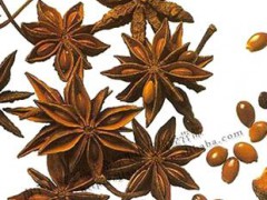 廠家加工 農(nóng)副產(chǎn)品加工墨粉 打粉 八角茴香 五香