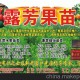 超低價出售 白玉桃果樹苗木 大白桃苗 大紅桃苗 油桃果苗批發(fā)