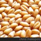 社旗縣金糧糧油購(gòu)銷有限公司批發(fā)高質(zhì)量冬小麥