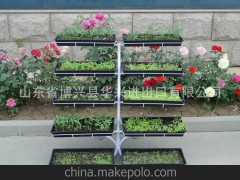 山東華興供應(yīng)大批量的家庭蔬菜種植架，自己的涼臺(tái)菜園