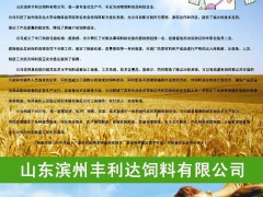 低價供應(yīng)各種動物飼料 優(yōu)質(zhì)羊飼料 質(zhì)量好 價格優(yōu) 欲購從速