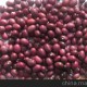 黃豆 大豆五谷雜糧/農(nóng)產(chǎn)品/農(nóng)副產(chǎn)品